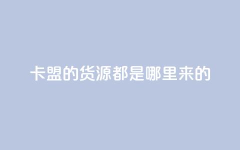 卡盟的货源都是哪里来的 - 卡盟货源获取渠道揭秘！  第1张
