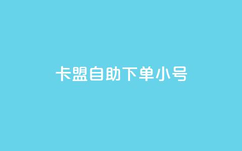 卡盟自助下单dy小号 - 卡盟自助下单代理小号服务解析！  第1张
