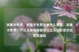 流量卡免费，流量卡免费送是什么套路，流量卡免费，开启无限畅游新纪元亿乐社区低价自营货源站