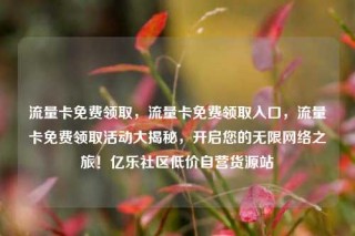 流量卡免费领取，流量卡免费领取入口，流量卡免费领取活动大揭秘，开启您的无限网络之旅！亿乐社区低价自营货源站