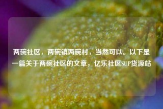两碗社区，两碗镇两碗村，当然可以。以下是一篇关于两碗社区的文章，亿乐社区SUP货源站