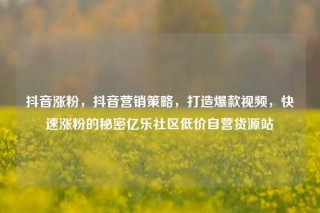 抖音涨粉，抖音营销策略，打造爆款视频，快速涨粉的秘密亿乐社区低价自营货源站