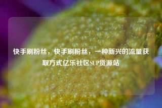 快手刷粉丝，快手刷粉丝，一种新兴的流量获取方式亿乐社区SUP货源站