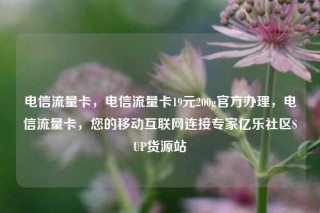 电信流量卡，电信流量卡19元200g官方办理，电信流量卡，您的移动互联网连接专家亿乐社区SUP货源站
