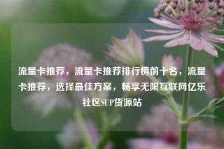 流量卡推荐，流量卡推荐排行榜前十名，流量卡推荐，选择最佳方案，畅享无限互联网亿乐社区SUP货源站