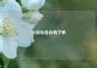 抖音业务自助下单
