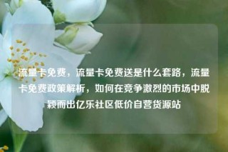 流量卡免费，流量卡免费送是什么套路，流量卡免费政策解析，如何在竞争激烈的市场中脱颖而出亿乐社区低价自营货源站