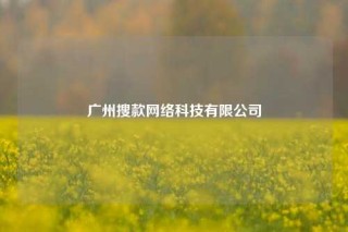广州搜款网络科技有限公司