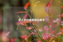早上好的最美图片带字