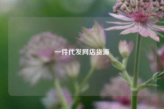 一件代发网店货源