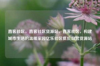 直客社区，直客社区货源站，直客社区，构建城市生活的温暖家园亿乐社区低价自营货源站