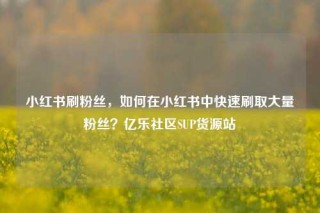 小红书刷粉丝，如何在小红书中快速刷取大量粉丝？亿乐社区SUP货源站