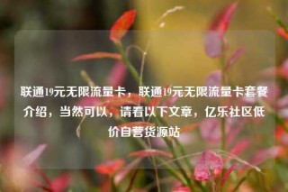 联通19元无限流量卡，联通19元无限流量卡套餐介绍，当然可以，请看以下文章，亿乐社区低价自营货源站