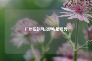 广州搜款网投诉电话号码