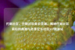 代刷社区，代刷社区低价货源，揭秘代刷社区背后的真相与危害亿乐社区SUP货源站