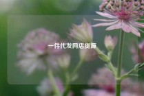 一件代发网店货源