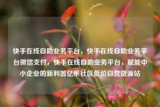 快手在线自助业务平台，快手在线自助业务平台微信支付，快手在线自助业务平台，赋能中小企业的新利器亿乐社区低价自营货源站