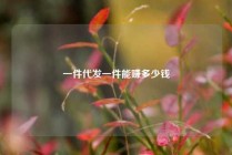 一件代发一件能赚多少钱