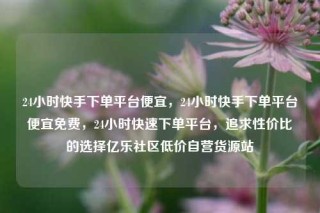 24小时快手下单平台便宜，24小时快手下单平台便宜免费，24小时快速下单平台，追求性价比的选择亿乐社区低价自营货源站