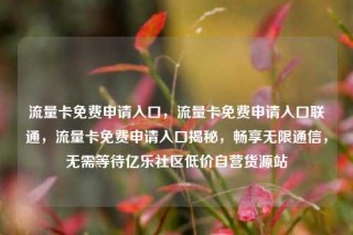 流量卡免费申请入口，流量卡免费申请入口联通，流量卡免费申请入口揭秘，畅享无限通信，无需等待亿乐社区低价自营货源站