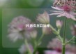 抖音卖货款到账