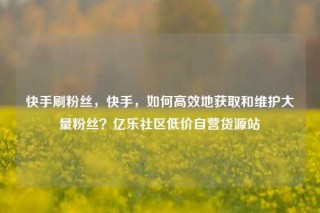快手刷粉丝，快手，如何高效地获取和维护大量粉丝？亿乐社区低价自营货源站