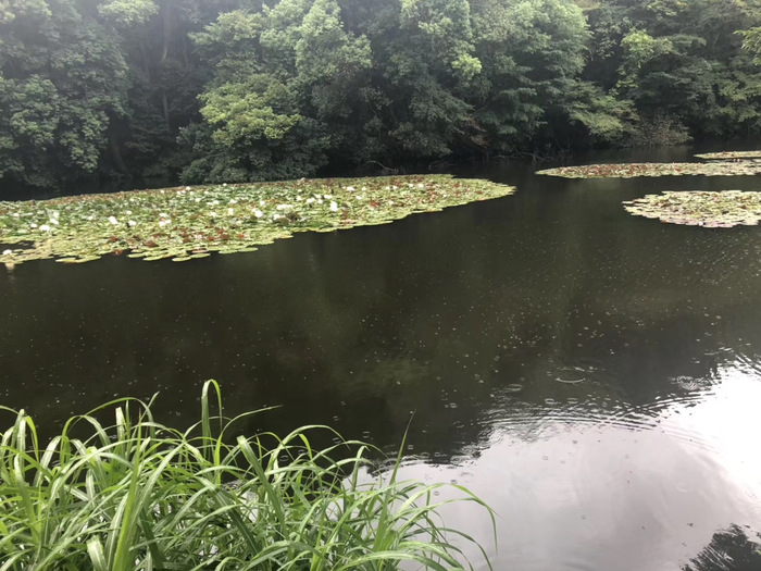 花开之处，便是故地  第8张