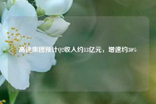 高途集团预计Q2收入约13亿元，增速约30%  第1张