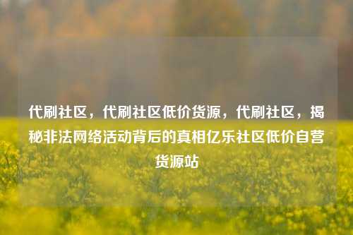 代刷社区，代刷社区低价货源	，代刷社区，揭秘非法网络活动背后的真相亿乐社区低价自营货源站  第1张