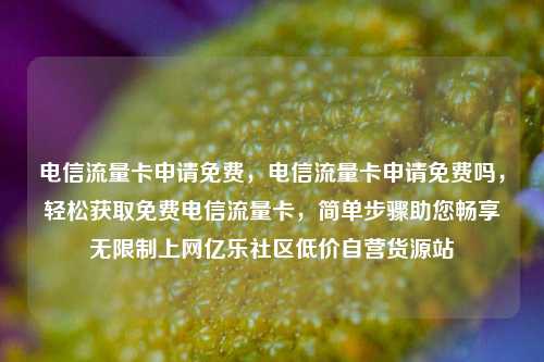 电信流量卡申请免费，电信流量卡申请免费吗，轻松获取免费电信流量卡	，简单步骤助您畅享无限制上网亿乐社区低价自营货源站  第1张