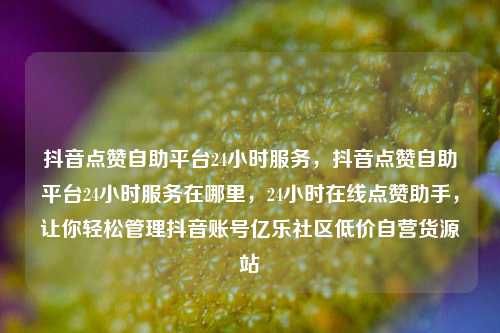 抖音点赞自助平台24小时服务，抖音点赞自助平台24小时服务在哪里	，24小时在线点赞助手，让你轻松管理抖音账号亿乐社区低价自营货源站  第1张