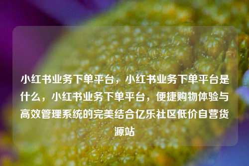 小红书业务下单平台	，小红书业务下单平台是什么，小红书业务下单平台，便捷购物体验与高效管理系统的完美结合亿乐社区低价自营货源站  第1张