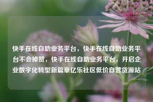 快手在线自助业务平台	，快手在线自助业务平台不会掉赞，快手在线自助业务平台，开启企业数字化转型新篇章亿乐社区低价自营货源站  第1张