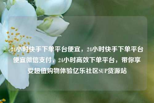 24小时快手下单平台便宜，24小时快手下单平台便宜微信支付，24小时高效下单平台，带你享受超值购物体验亿乐社区SUP货源站  第1张