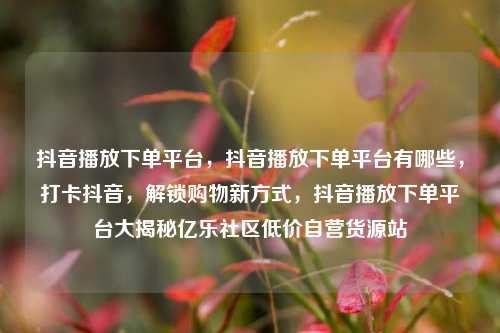 抖音播放下单平台	，抖音播放下单平台有哪些，打卡抖音，解锁购物新方式	，抖音播放下单平台大揭秘亿乐社区低价自营货源站  第1张