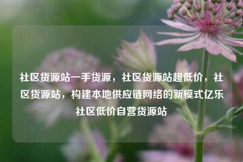 社区货源站一手货源	，社区货源站超低价，社区货源站，构建本地供应链网络的新模式亿乐社区低价自营货源站  第1张