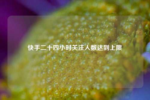 快手二十四小时关注人数达到上限  第1张