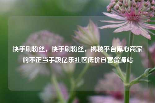 快手刷粉丝	，快手刷粉丝，揭秘平台黑心商家的不正当手段亿乐社区低价自营货源站  第1张